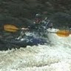 Meet your Posher, Steve